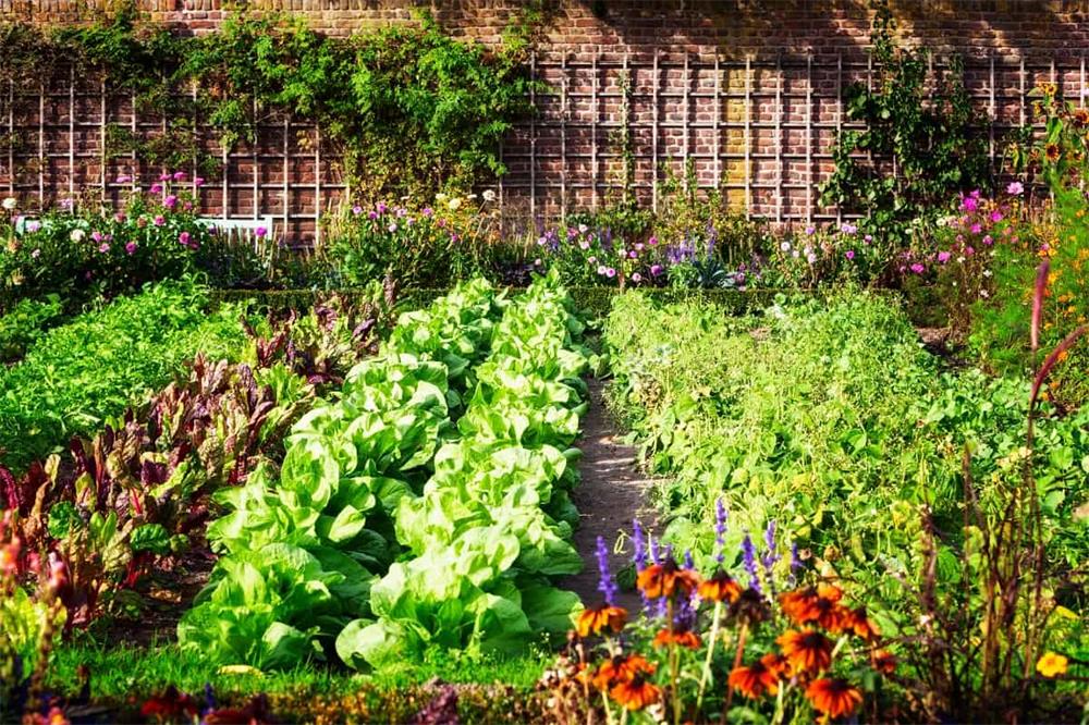 French Intensive Gardening A High Yield Method for Small Spaces