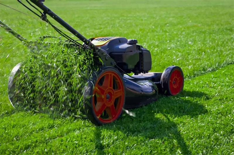 How-to-Care-for-Your-Lawn-in-Spring