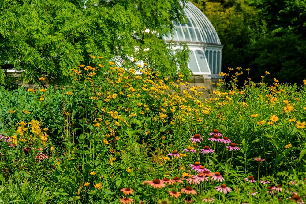 How-to-Create-a-Pollinator-Garden