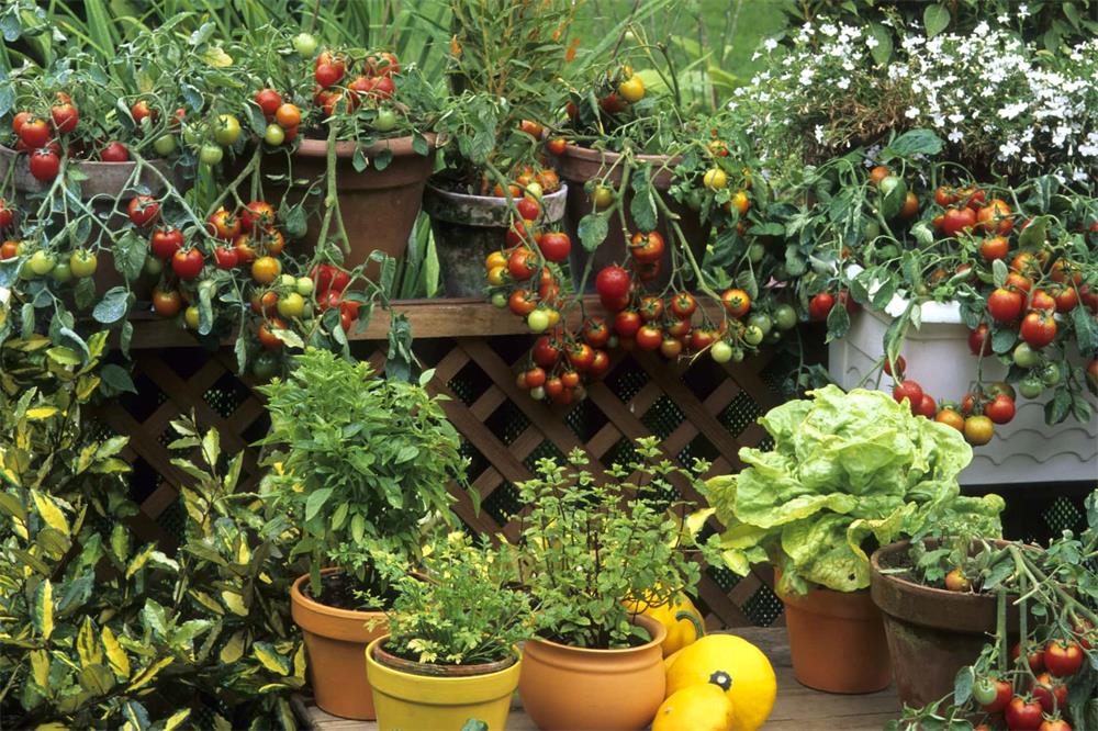 How-to-Design-a-Small-Garden