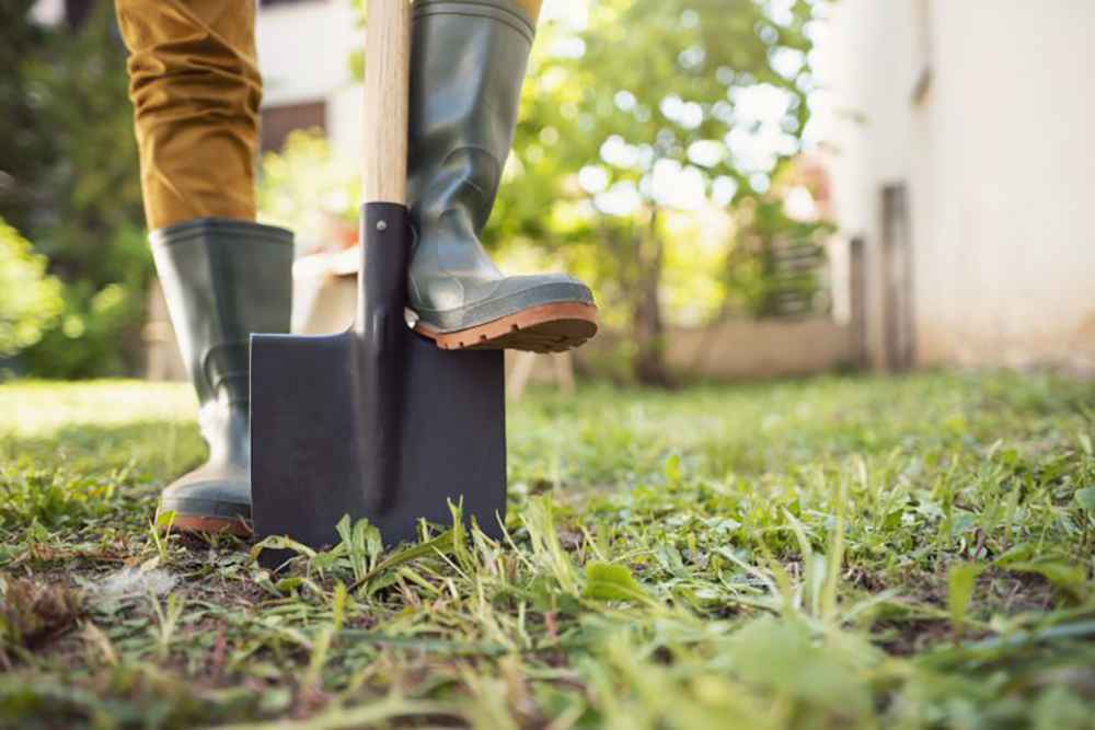 How-to-Do-Spring-Cleaning-for-Your-Lawn-and-Landscaping