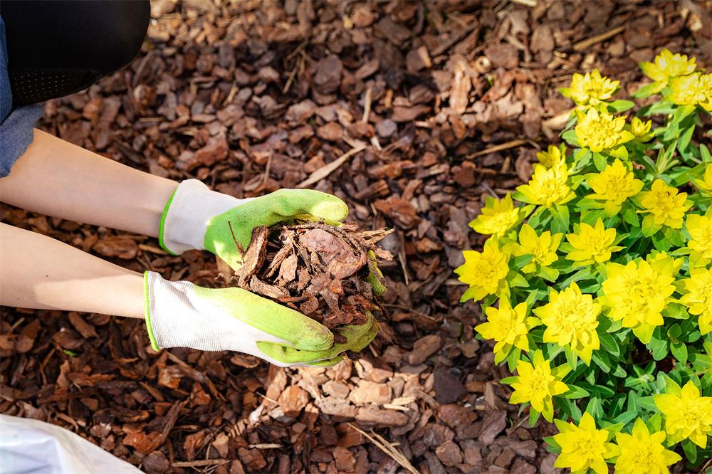 How-to-Estimate-the-Amount-and-Cost-of-Mulch-for-Your-Garden