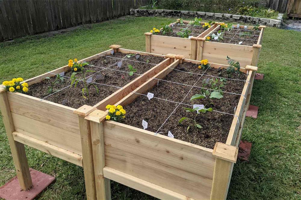 How-to-Grow-a-Successful-Raised-Bed-Garden