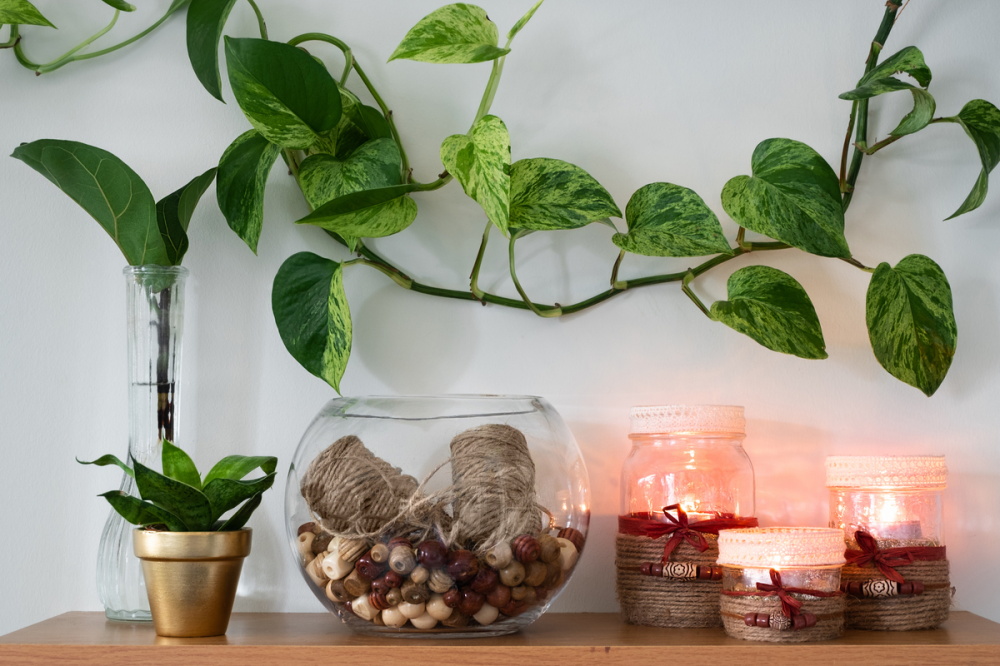 How-to-Make-a-Pothos-Fuller